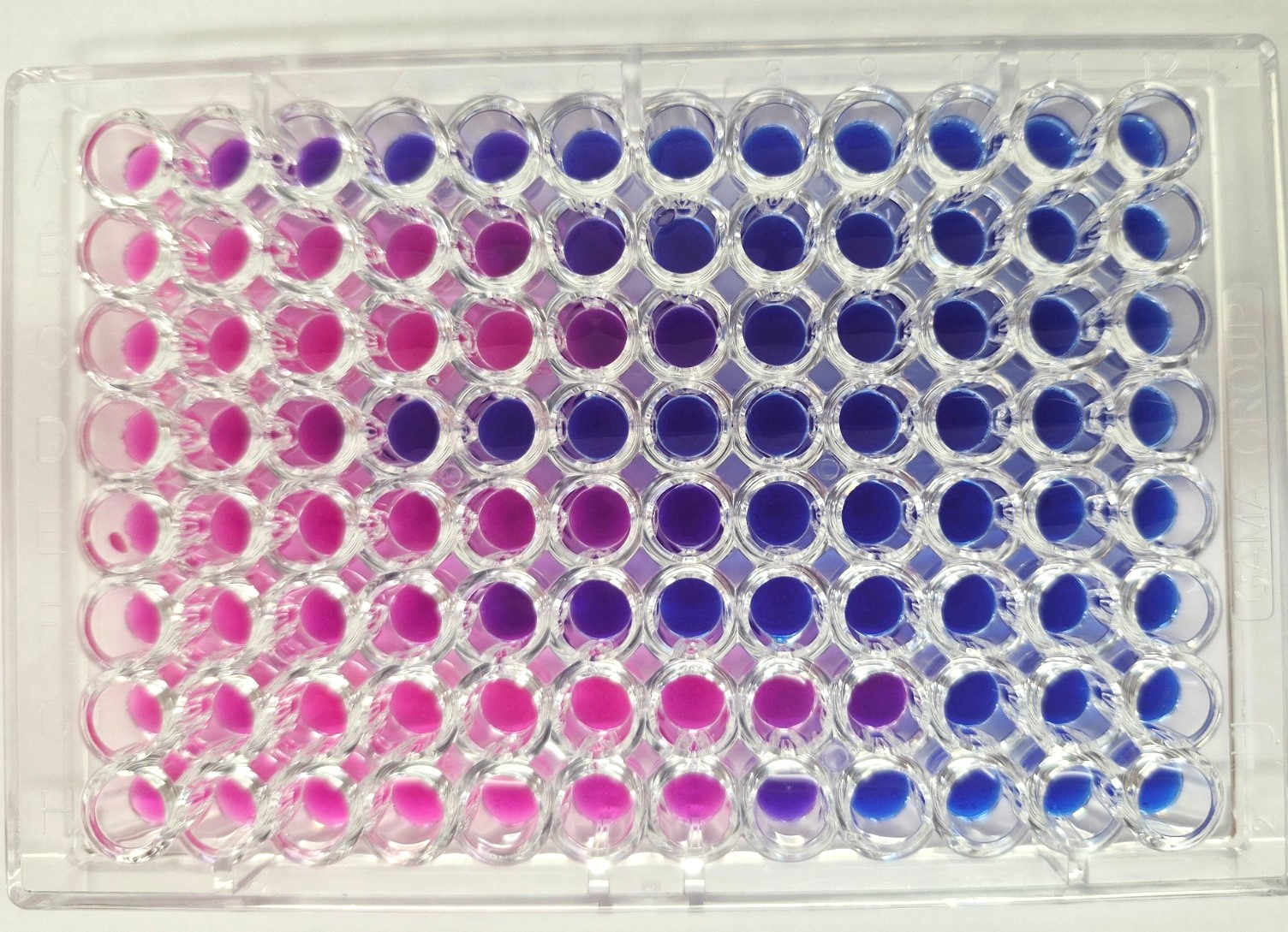 Середовище для визначення МІК COL - colistin (набір/48 тестів), Diagnostics s.r.o.